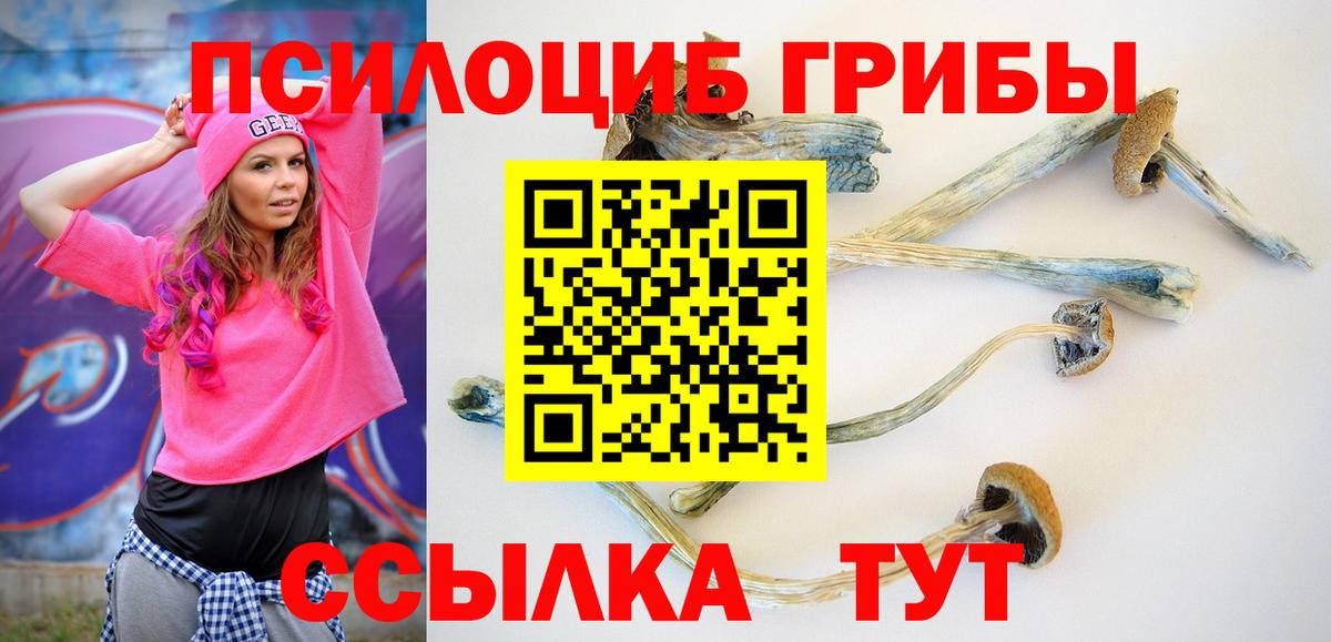 Галлюциногенные грибы Psilocybine cubensis Тавда